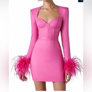Chic Long Sleeve Pink Dress with Feather Accents